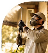 Услуга ПРО в Москве